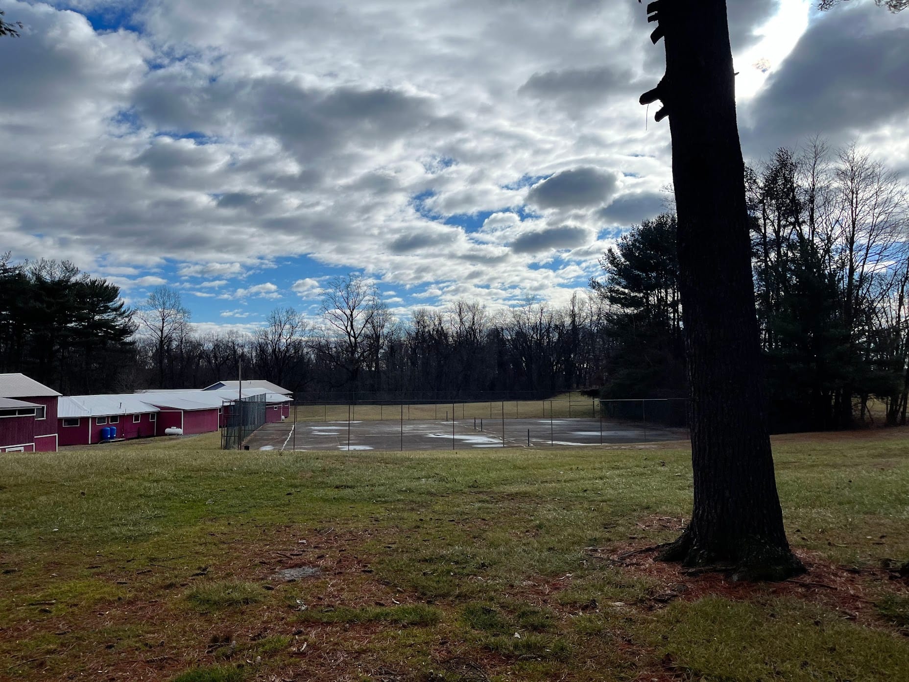 The Activity Field at Vibecamp