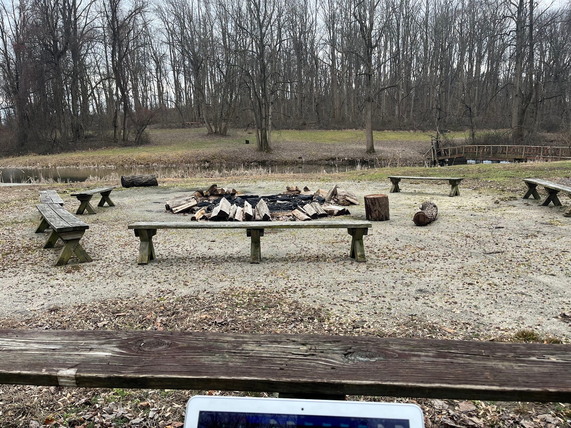 The Pond Fire Pit at Vibecamp