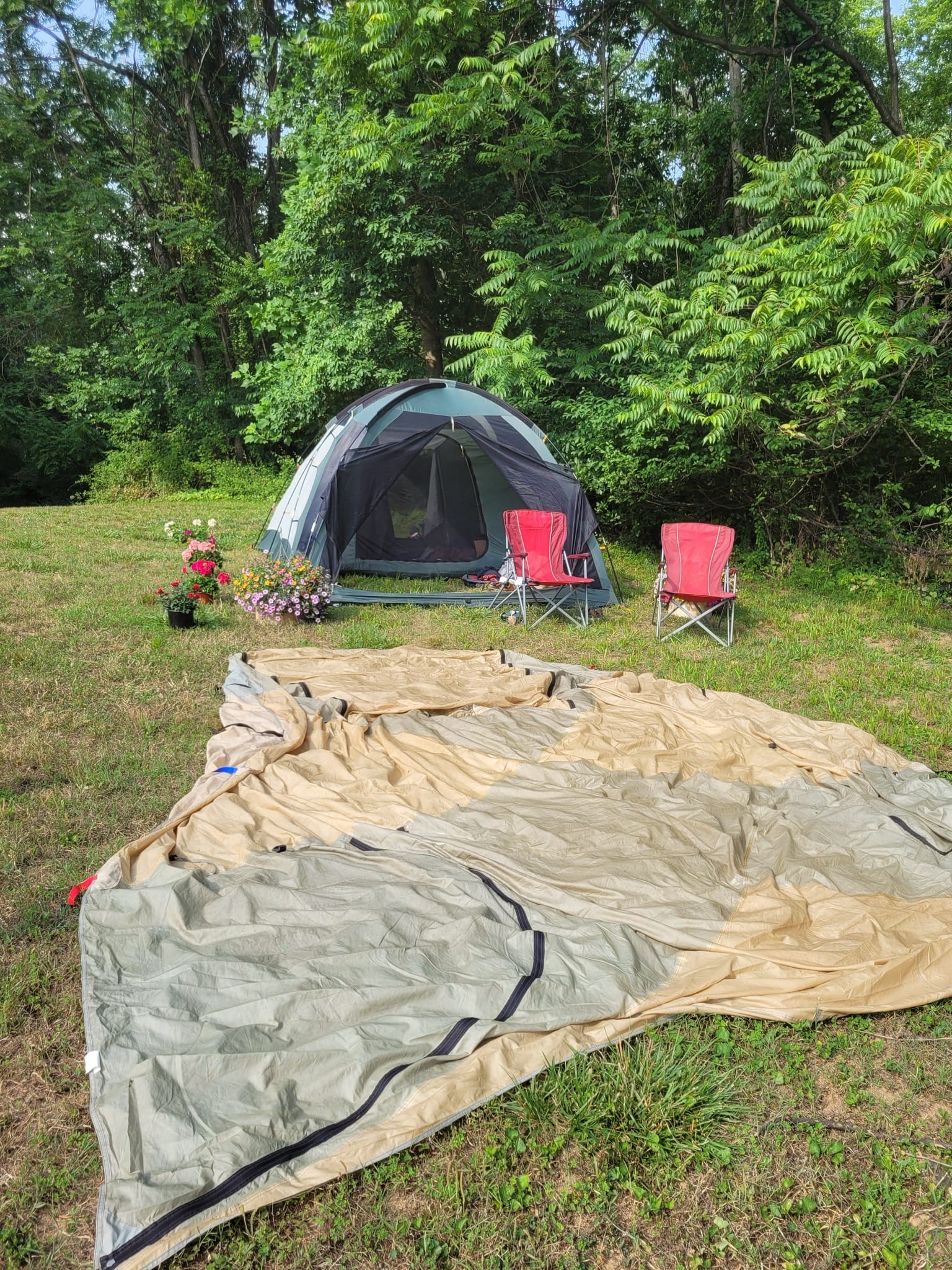A communal tent set up on the grass